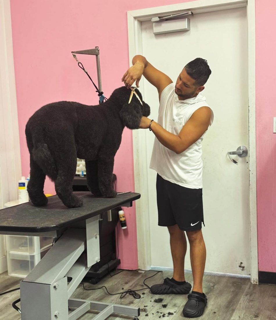 520233867_17903410227208213_1030379525895153436_n